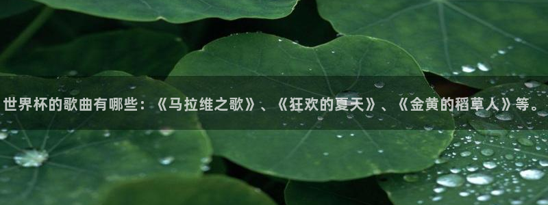 世界杯官网入口:世界杯的歌曲有哪些:《马拉维之歌》、《狂欢的夏天》、《金黄的稻草人》等。