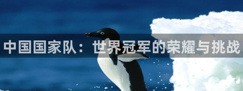世界杯第一场比赛:中国国家队:世界冠军的荣耀与挑战
