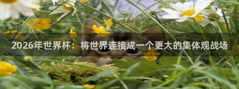2026世界杯欧洲预选赛赛程表:2026年世界杯:将世界连接成一个更大的集体观战场