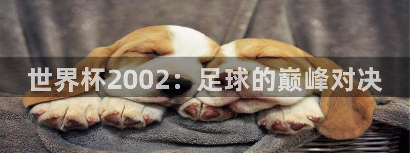 世界杯女足直播:世界杯2002:足球的巅峰对决