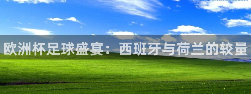 世界杯直播免费观看:欧洲杯足球盛宴:西班牙与荷兰的较量